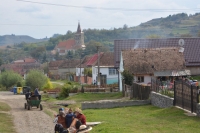 Cercetări în teren