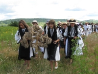 Sufletul satului românesc: FEMEIA